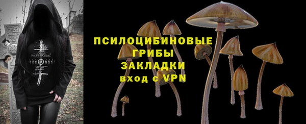соль ск Киреевск
